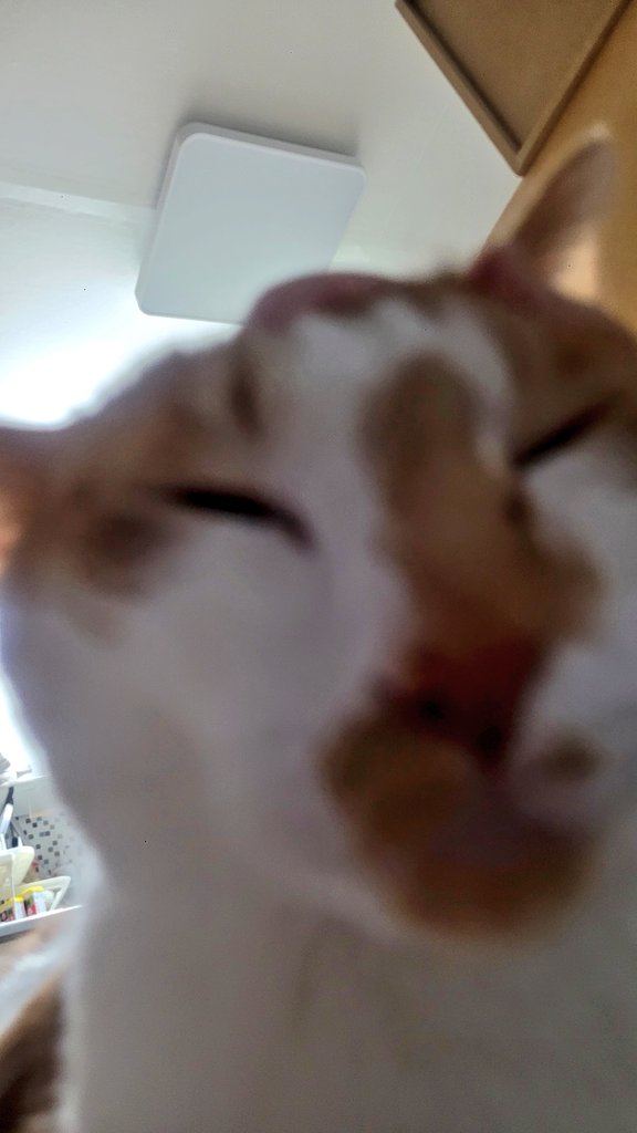 ??? 졍ㅅ1ㄱ1 무음ㅇ1ㅇㅓㄸㅓ
ㅁ1얀 ㅠㅠ