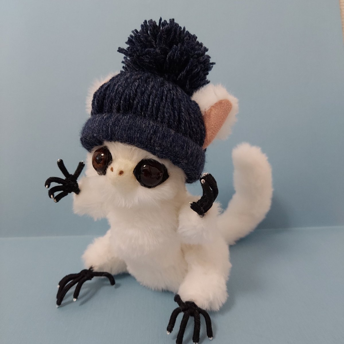 まめこ (@Mamekonokomame) / Posts / X