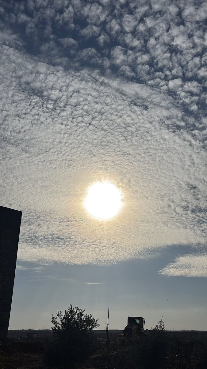 روژا 

گونديمه 

22/12/2025