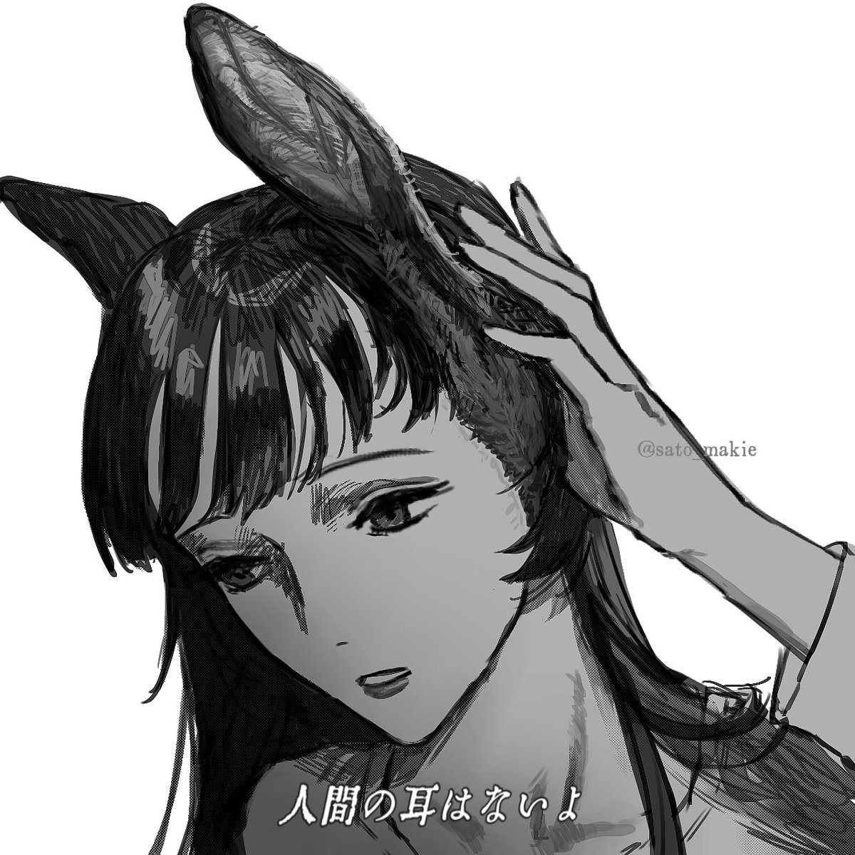 教えて♪バニーさん