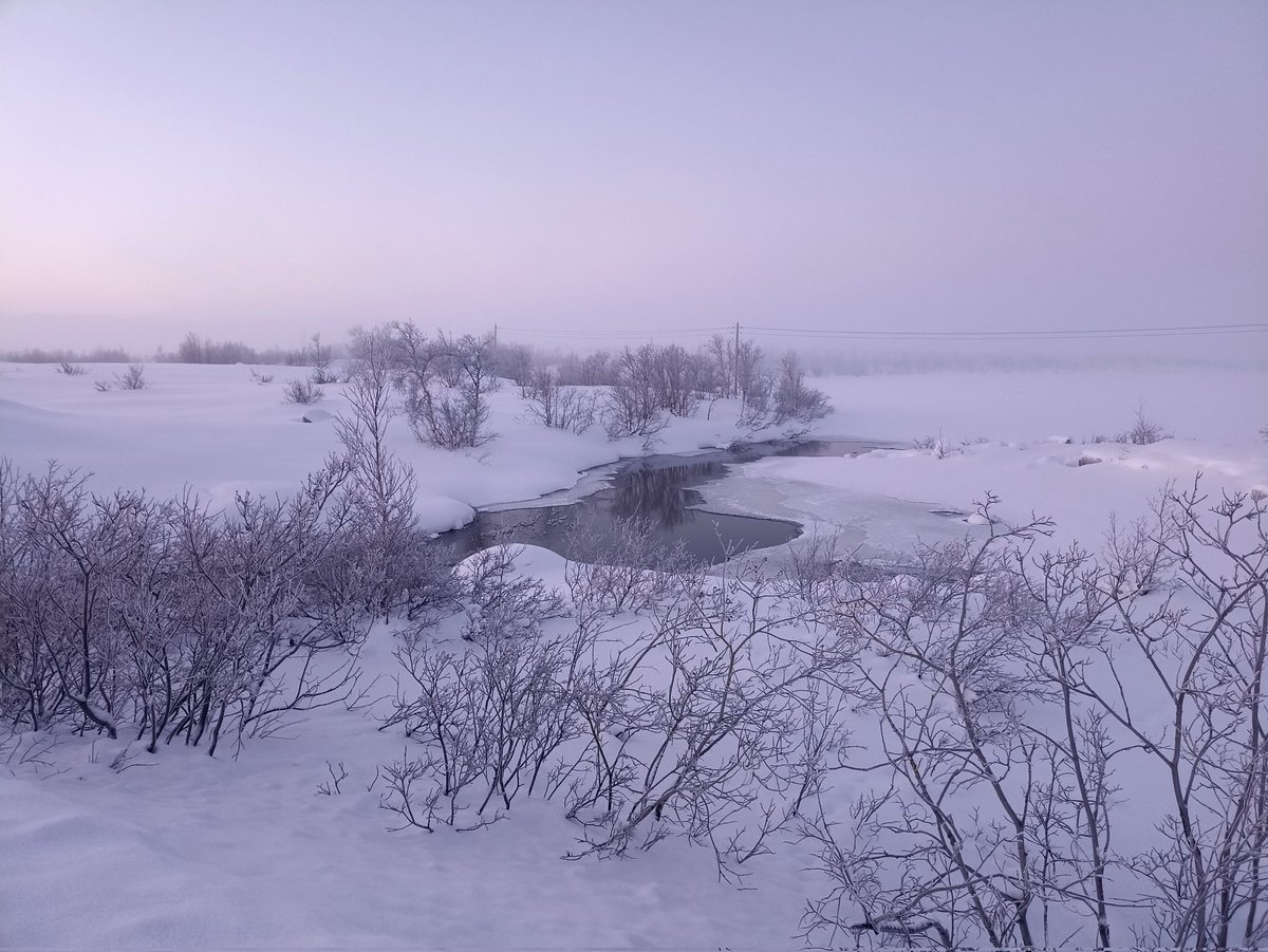 Prufpur's tweet photo. #обеденное.
Фотографии сделаны с 13 до 14.  Цвет неба и снега зависит оттого какую сторону горизонта фотографируешь https://t.co/QbsjSTAjaP