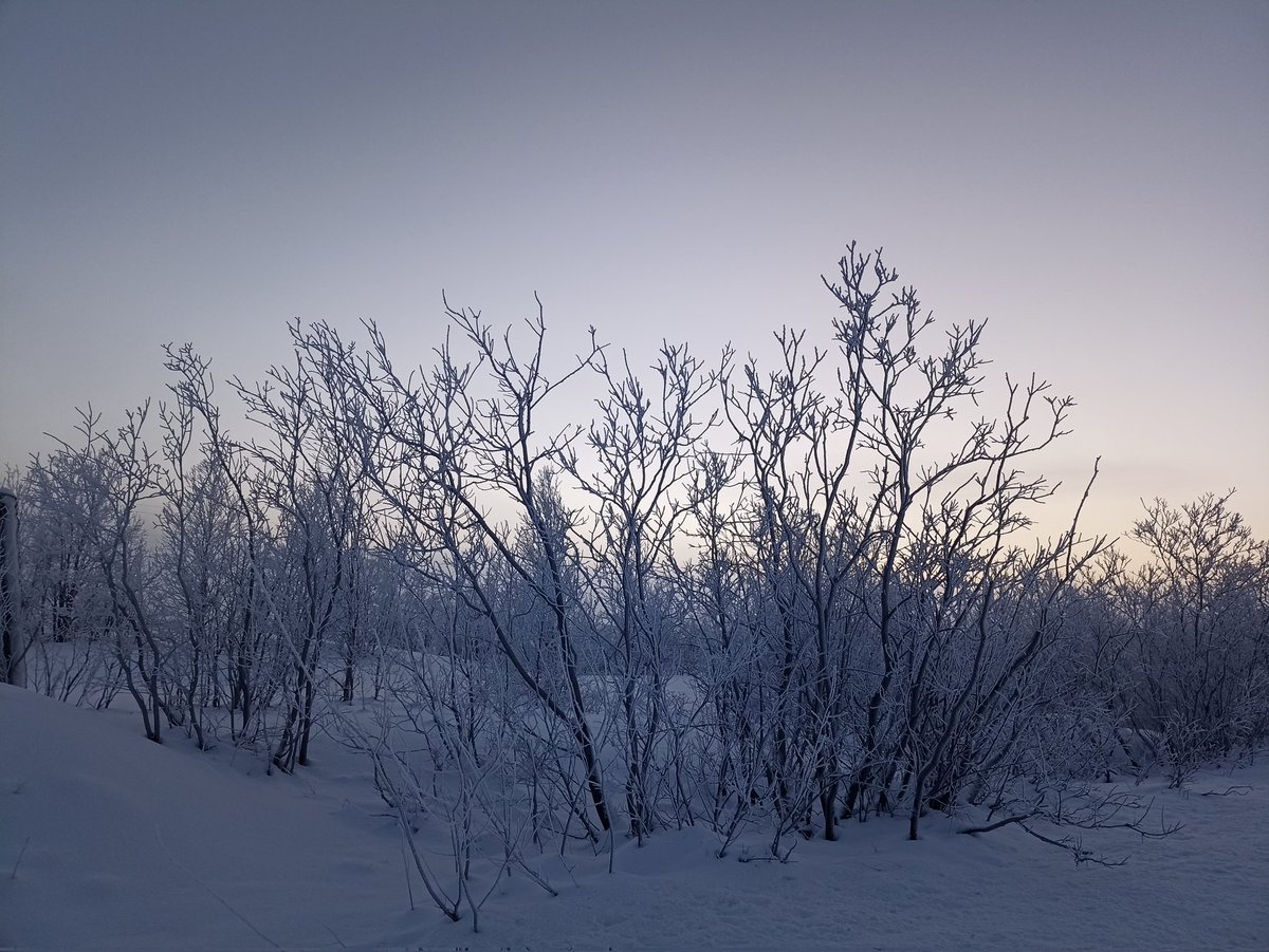 Prufpur's tweet photo. #обеденное.
Фотографии сделаны с 13 до 14.  Цвет неба и снега зависит оттого какую сторону горизонта фотографируешь https://t.co/QbsjSTAjaP