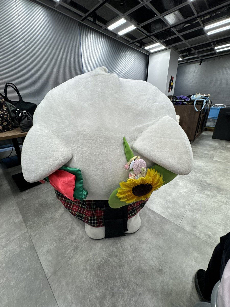 みぃちゃんです⭐ mii_funa0705 みぃちゃん お誕生日おめでとうございます🎉🎉🎉 すてき