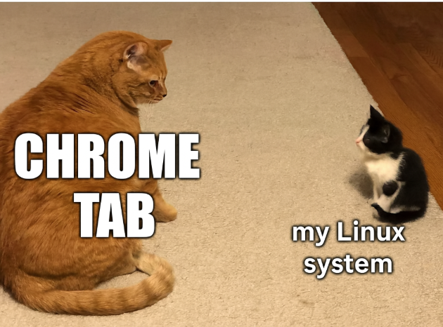 Mehrdadlinux's tweet photo. مرورگر کروم: مصرف 8GB RAM برای ۷ تب ناقابل
کل لینوکس: مصرف 500MB RAM اجرای کل سیستم عامل
از تلگرام Desktop نگم براتون https://t.co/BmPZeVsakg