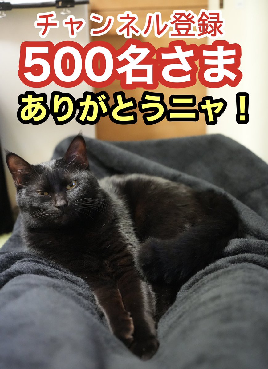 つくねちゃんのYouTubeチャンネル登録者が500名になりました！みなさん