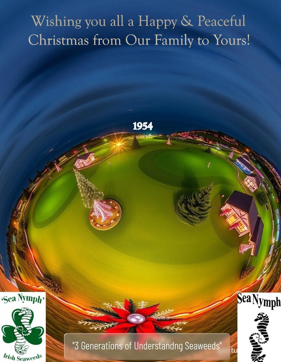 stephencasburn's tweet image. Happy Christmas 🎅 🎄