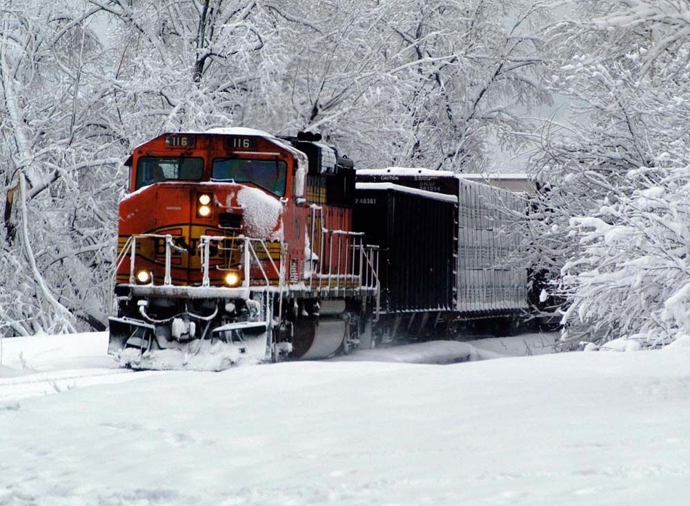 UCL Mathematical & Physical Sciences tweet media