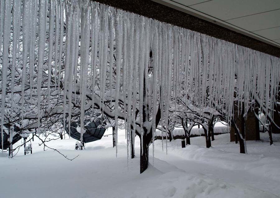 UCL Mathematical & Physical Sciences tweet media