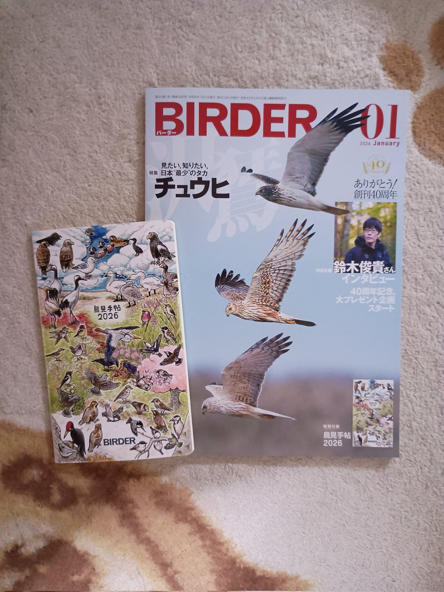 美品【BIRDER 】2023年 BIRDER（バーダー） 2023年12月号 (発売日2023年11月16日) | 雑誌/電子