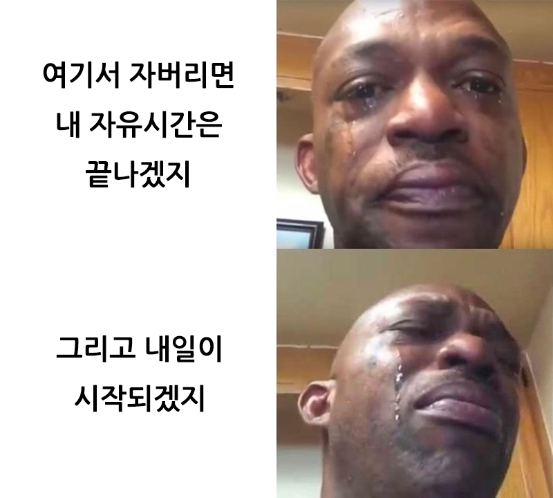 졸려도 밤에 안 자는 이유