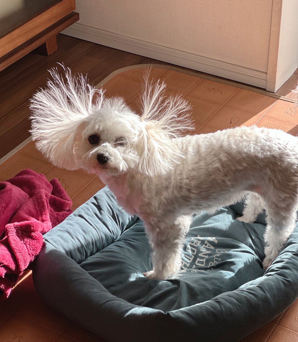 Yasu (@Yasu4715) / Posts / X