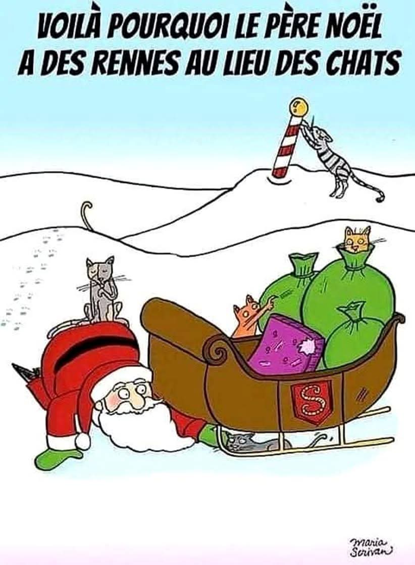 LanguagesCat's tweet image. Languages Cat's French Christmas Cartoon Of The Day For Cats: