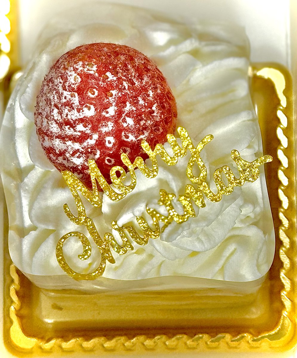 メリークリスマス？？？✨