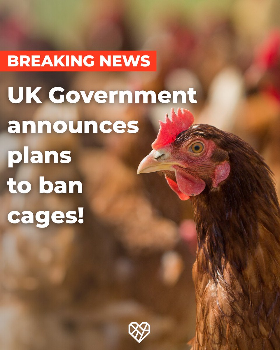 The Humane League UK tweet media