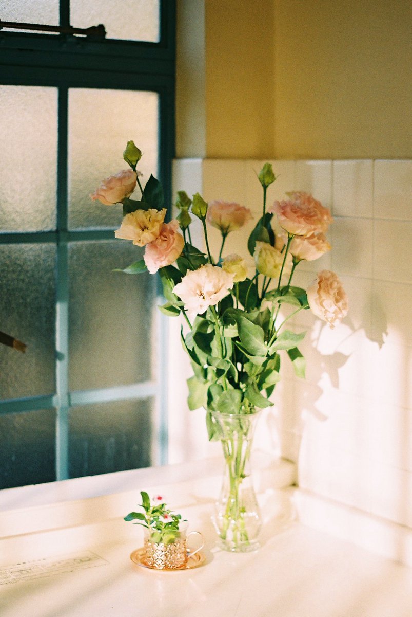 soredake____'s tweet image. #film