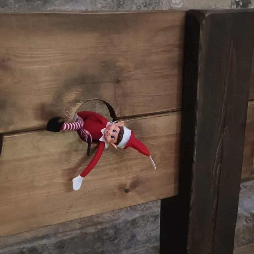 Newcastle Castle tweet media