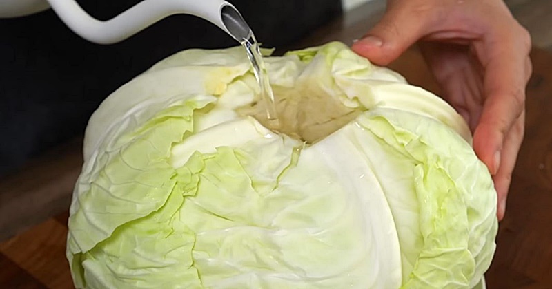 wikitree's tweet image. 양배추 안에 '끓는 물'을 부어 보세요…모르고 지냈던 날들이 억울해집니다
wikitree.co.kr/articles/11043…

#양배추 #채소 #식이섬유 #끓는물