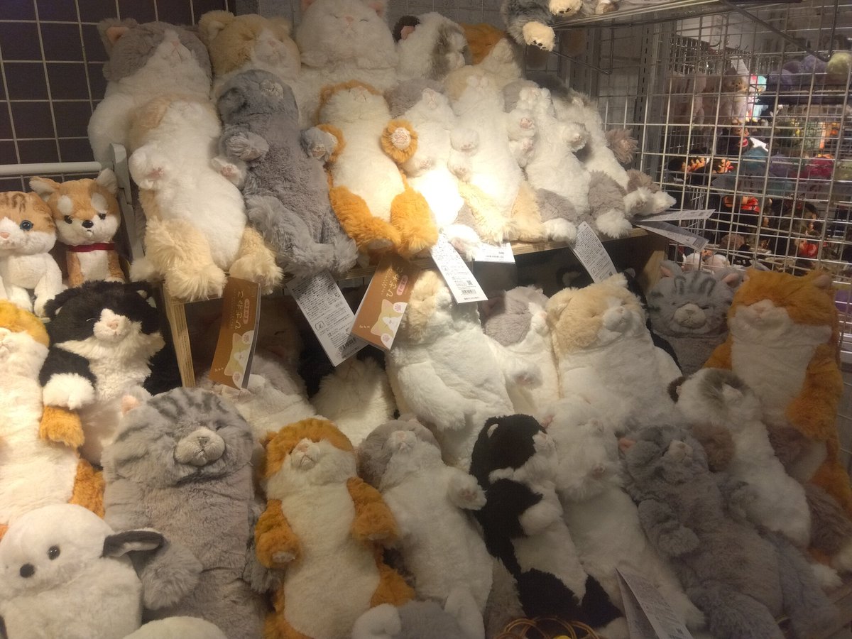 大好評！ぬいフェスも残すところ3日！ 本日、クリスマス直前の大量納品