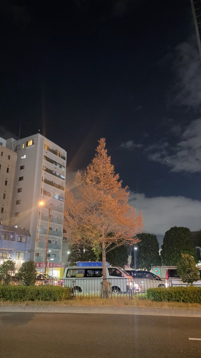 オレンジパブ tweet media