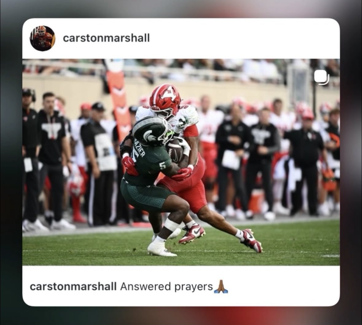 Shannon Marshall tweet media