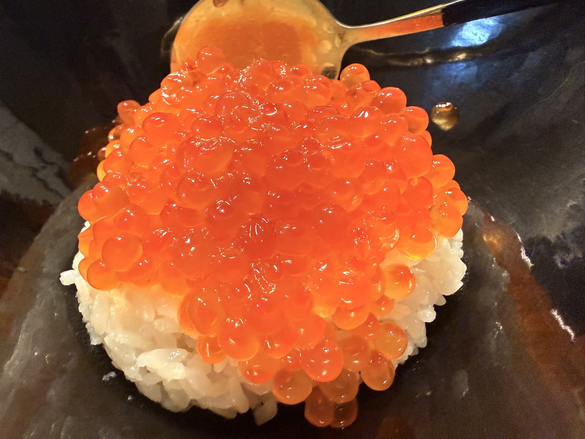 ミニいくら丼です(写真無加工)。ご査収下さい。