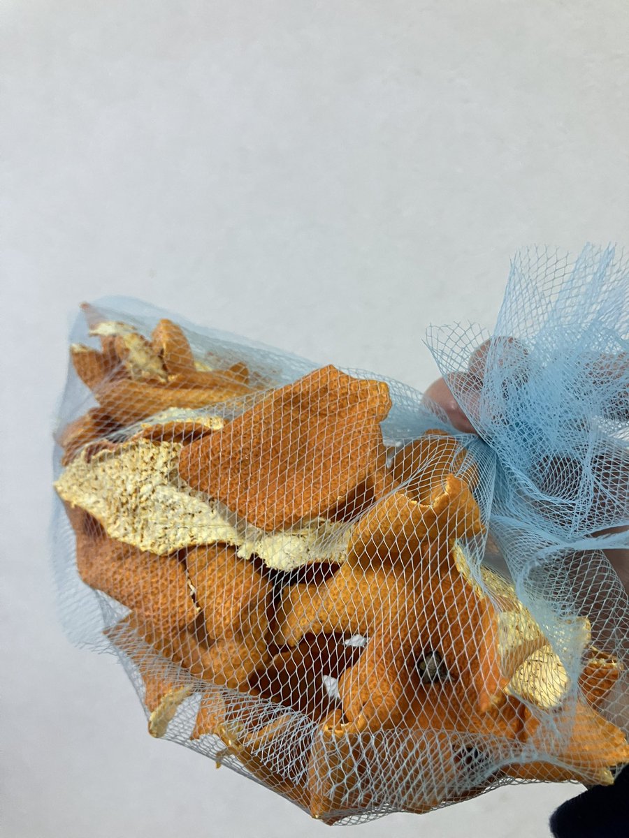 彩(さい) (@bluediscolor) / Posts / X