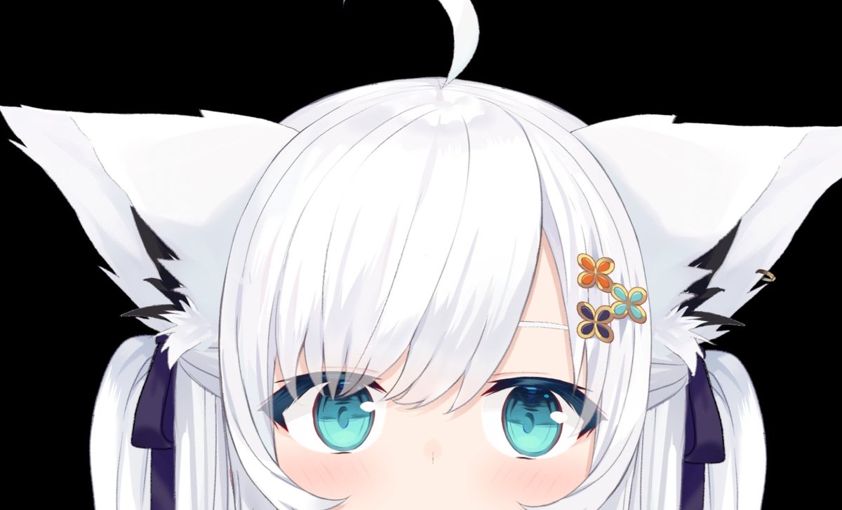 Post by フブちゃんです。 on X: ねっ