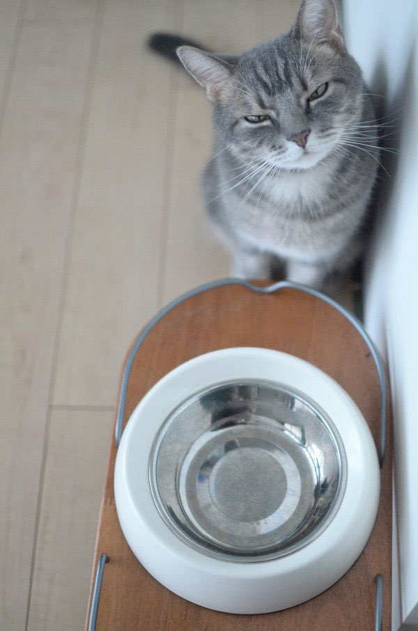 SlenderSherbet's tweet image. "DO I HAVE TO SPELL IT OUT FOR YOU JANICE"