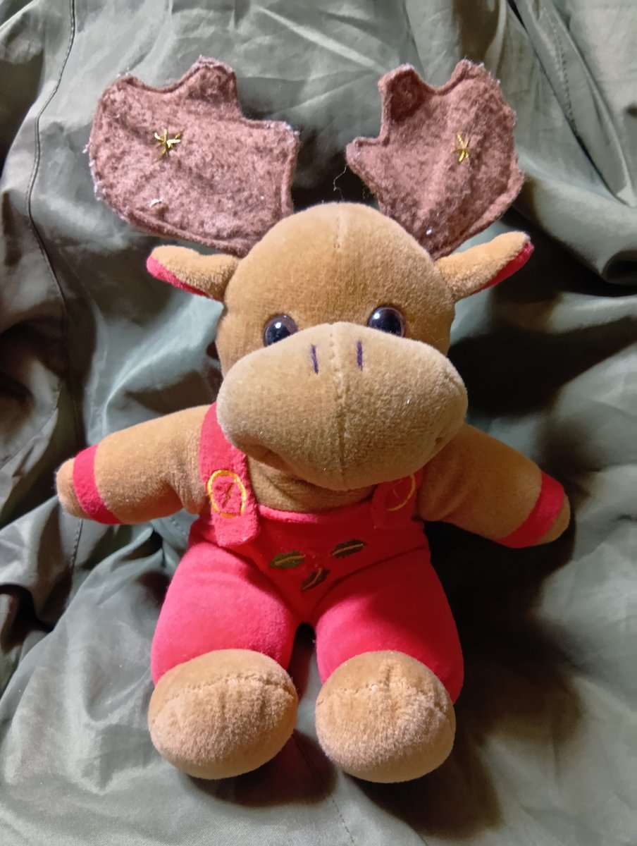 今日🛫✈️フィンエアーで日本に来ました「吊りズボントナカイ」です２日くらい早かったみたいですね😅
少し日本でノンビリします✨🎄✨🌹😊😊