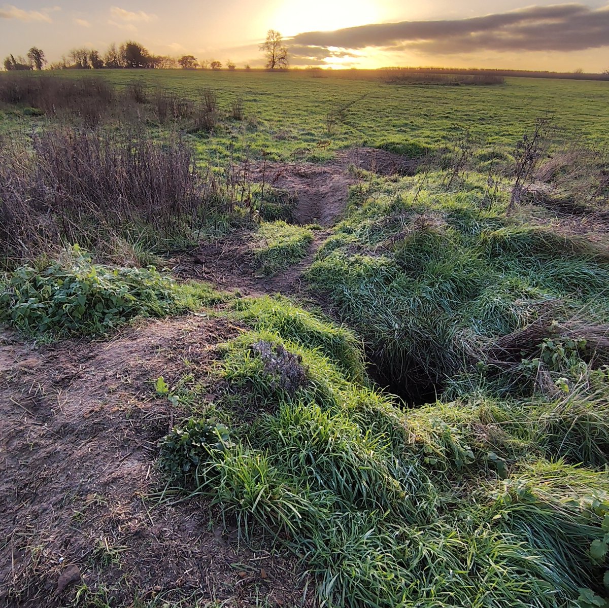 Mark Garrett tweet media