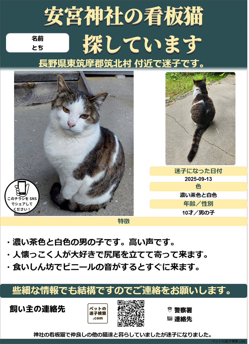 迷子 ページ 迷子 ページ