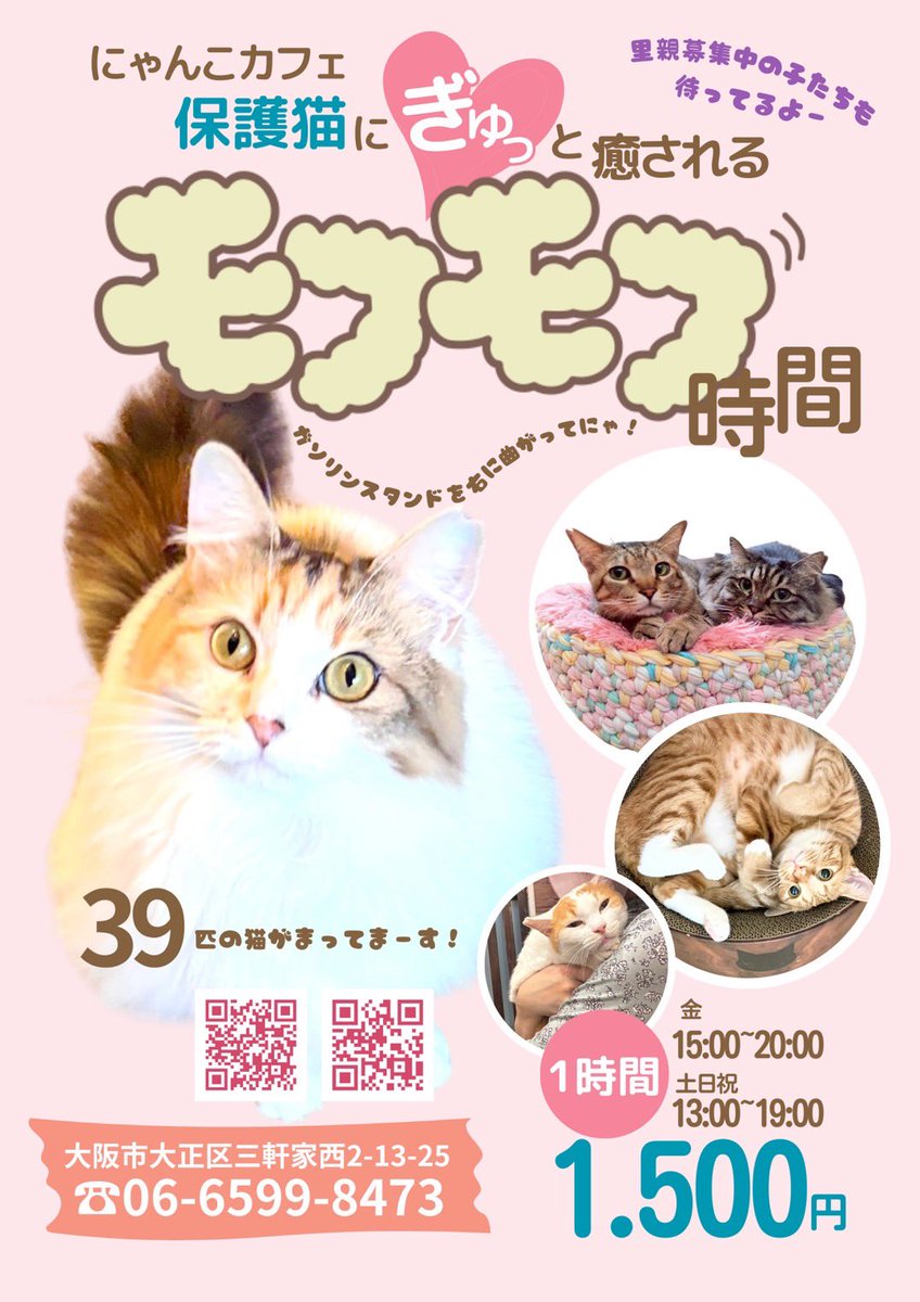にゃんこカフェ(譲渡型保護猫カフェ) (@nyankocafe22) / Posts / X