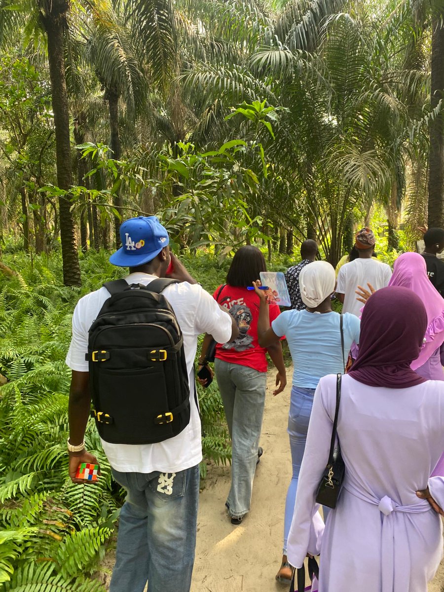 Tryving Trybe tweet media