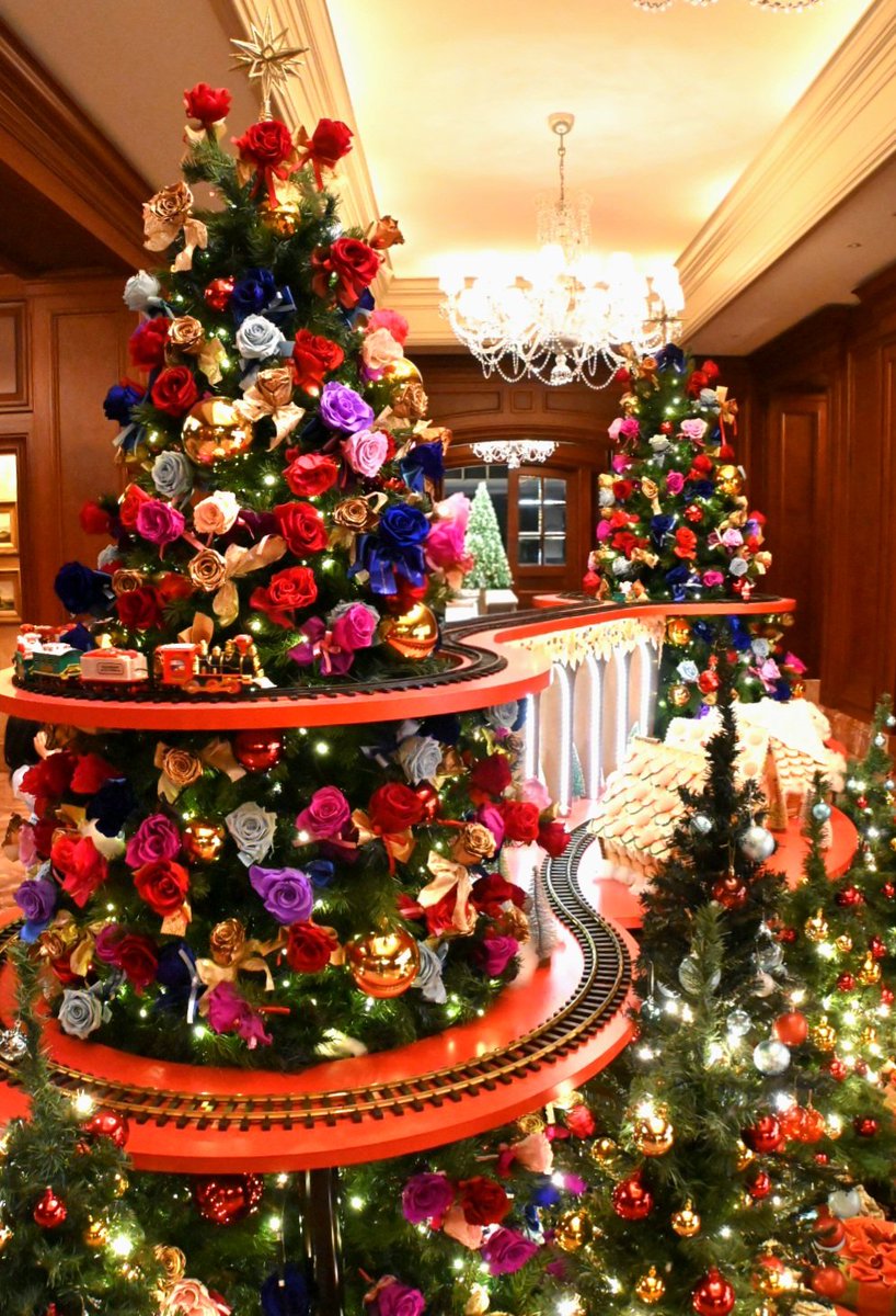 WADADA64024059's tweet photo. 12月20日(土)
少し早目のクリスマスイルミネーションに会ってきました✨🎄✨
とてもキレイで癒されました～☺️

#クリスマスイルミネーション
#クリスマスツリー
#クリスマス
#リッツカールトン大阪 
#ヒルトン大阪 https://t.co/86byJtyVGC