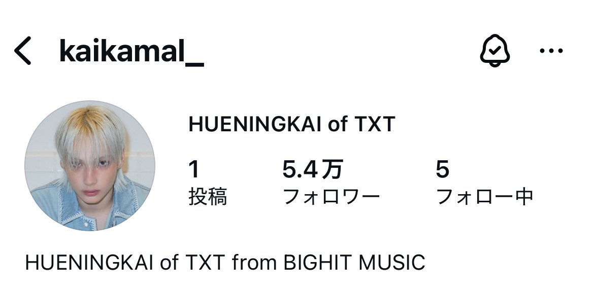 専用ページ　ヒュニンカイ HUENINGKAI GLOBAL (@HueningkaiBase) / Posts / X