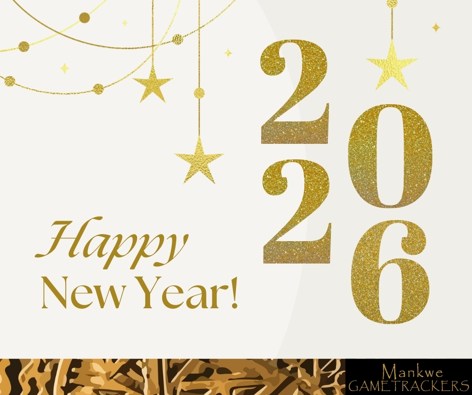 ✨Happy New Year✨