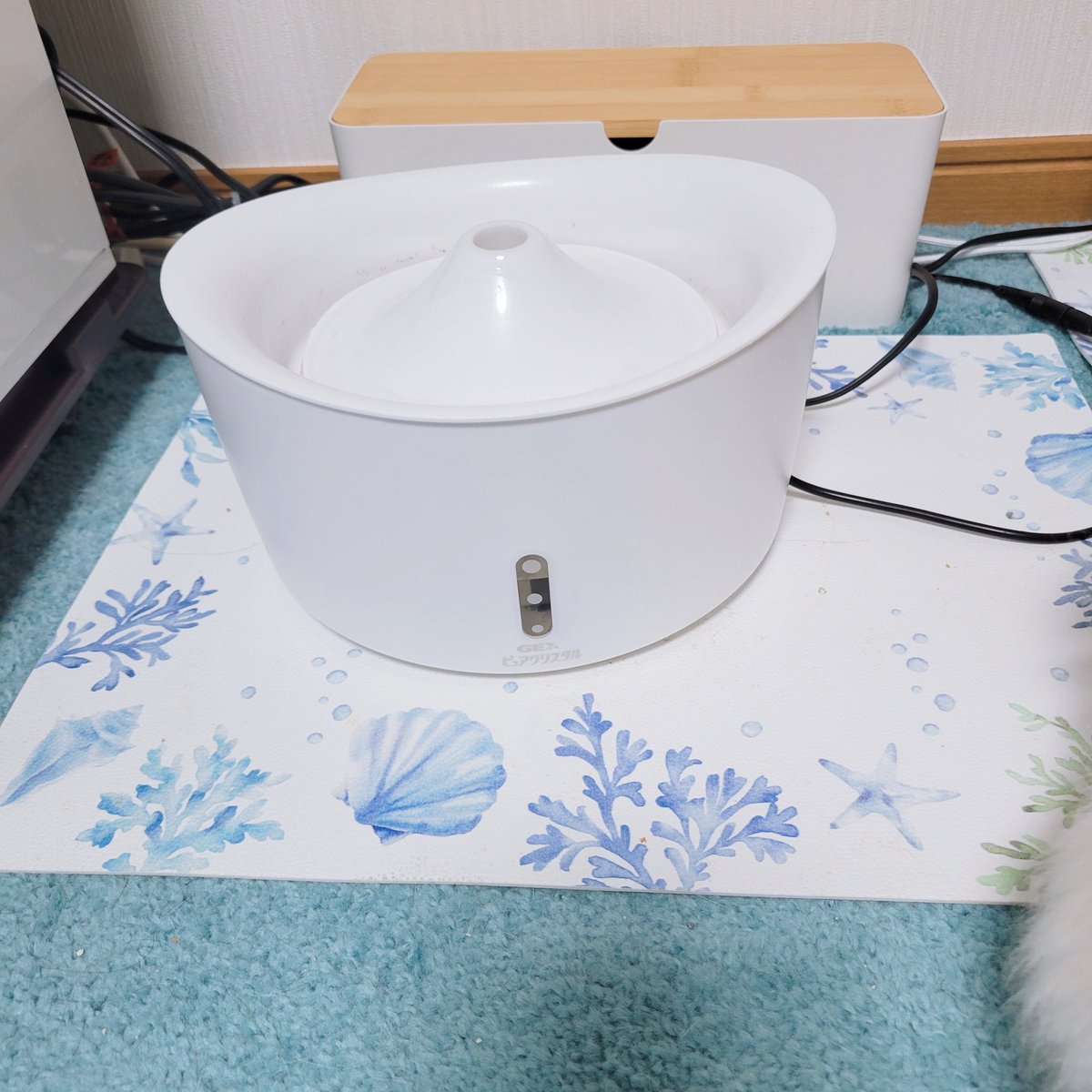 yuduki_genmai's tweet image. 数年ぶりに猫の給水器変えたんですけど
え、すごくない今ってコードレスなんだよ???
洗う時にいちいちコード抜いてコード濡らさないように洗ってみたいなことしなくていいんだよ?
まじ天才じゃない???
ＧＥＸさんありがとう、、
#gex 
#猫がいる暮らし