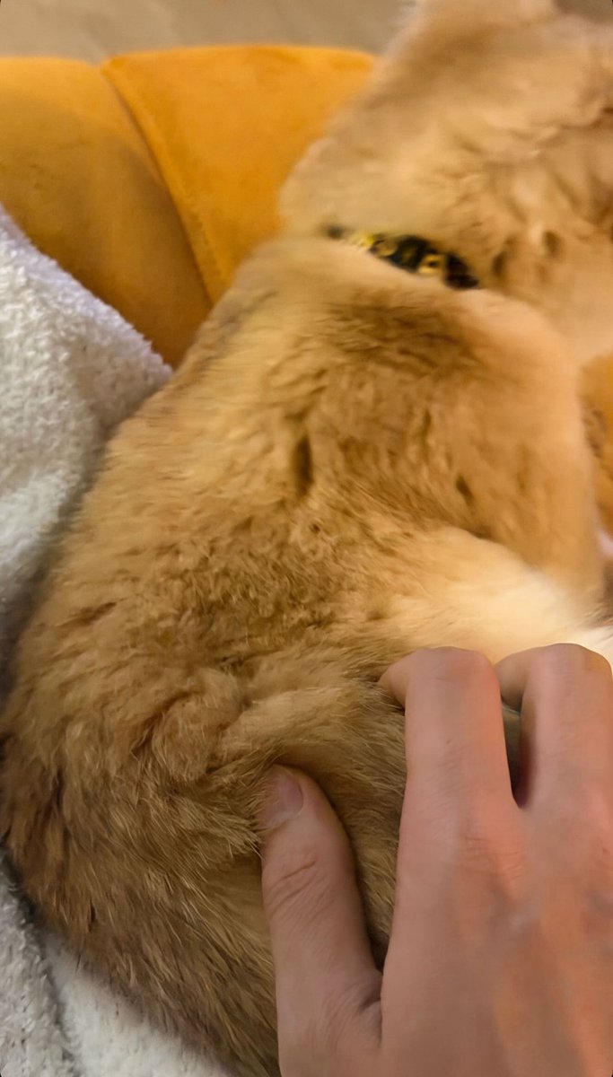 IGs update [22122025] 🐈

#BuildJakapan <a href="/JakeB4rever/">BIU.</a> 
#Beyourluve