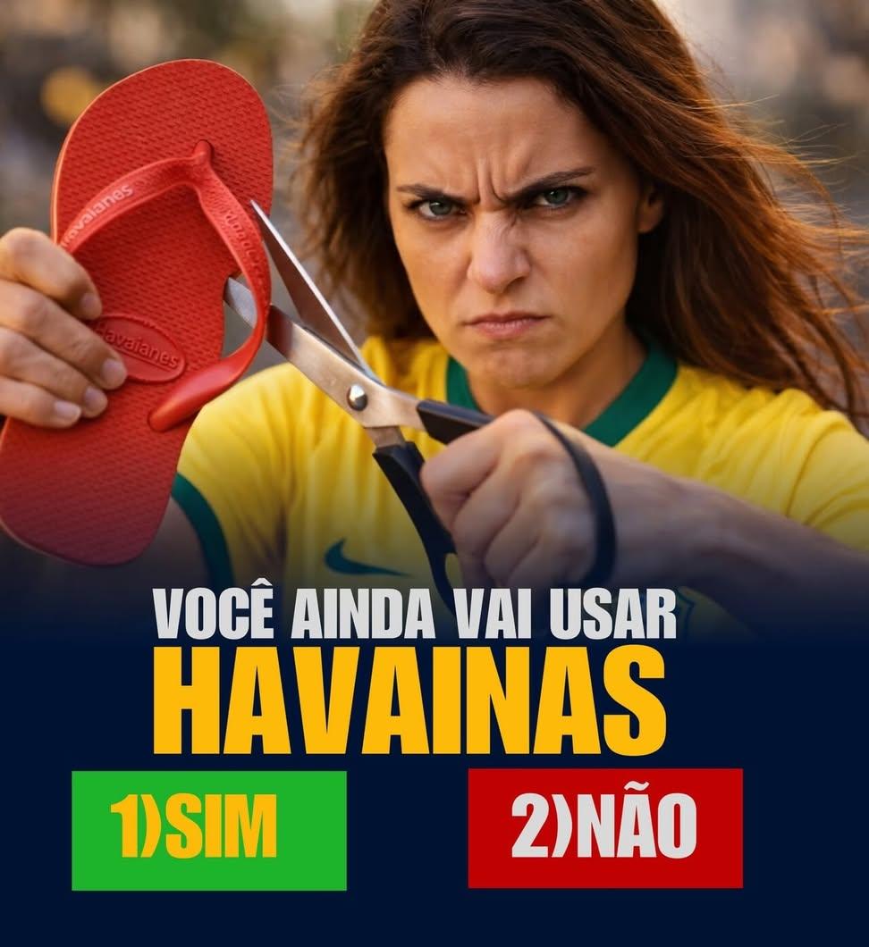 BolsoMito380 tweet media