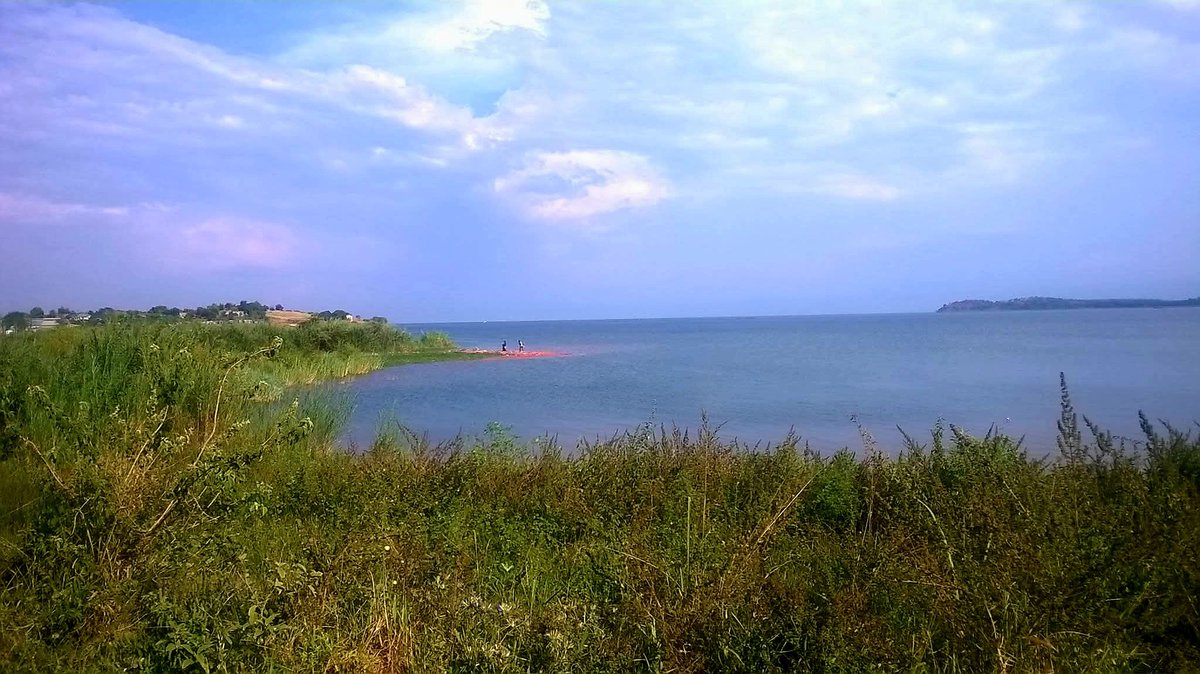 Francis Fares Maro tweet media