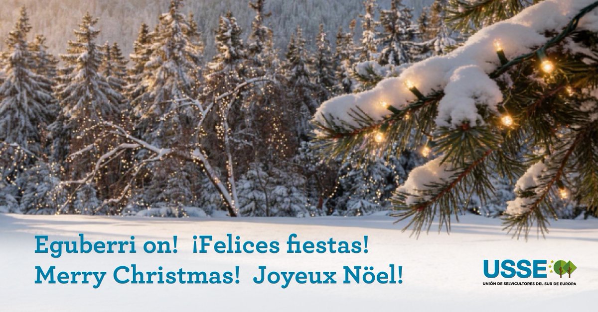 USSE_Forest's tweet photo. 🎄Desde la Unión de Selvicultores del Sur de Europa #USSE os deseamos unas felices fiestas y un 2026 en el que la salud de nuestros montes y el cuidado del medio ambiente sigan siendo una prioridad compartida. https://t.co/n7ndhB0Gow