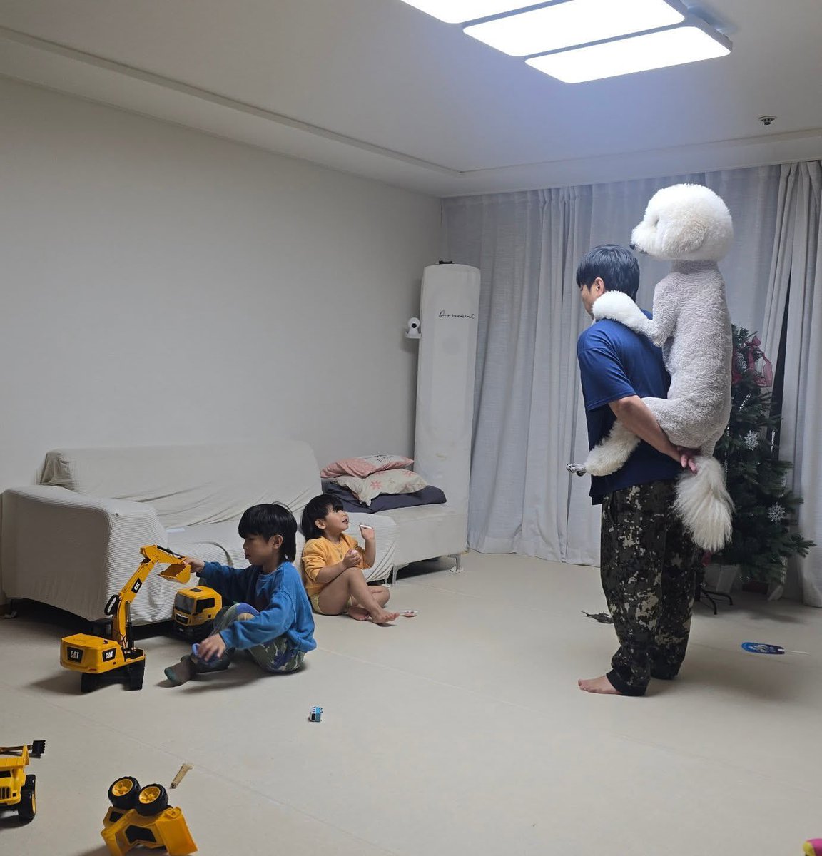 韓国在住のスタンダードプードル、HAWKさんです