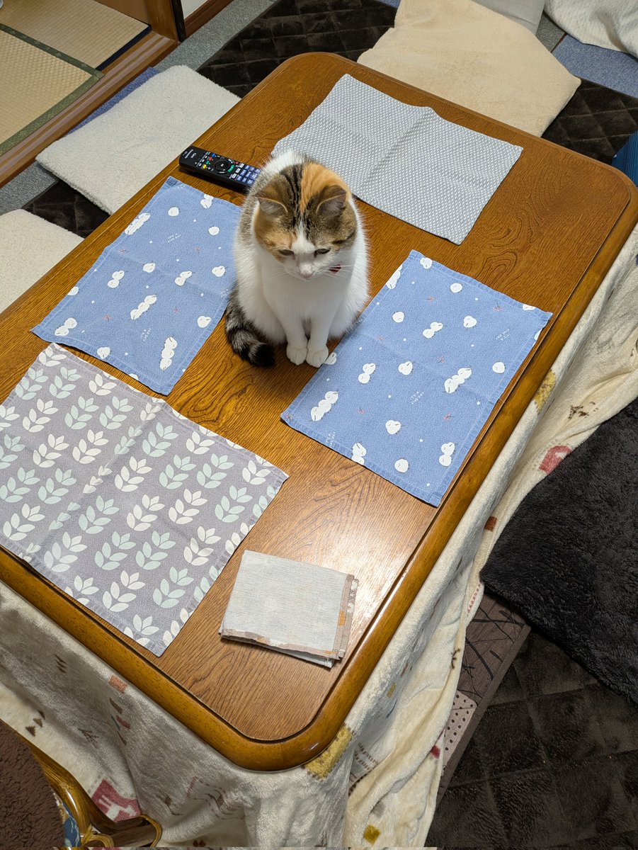 れんちー (@_gsotg_bolt_s) on Twitter photo 