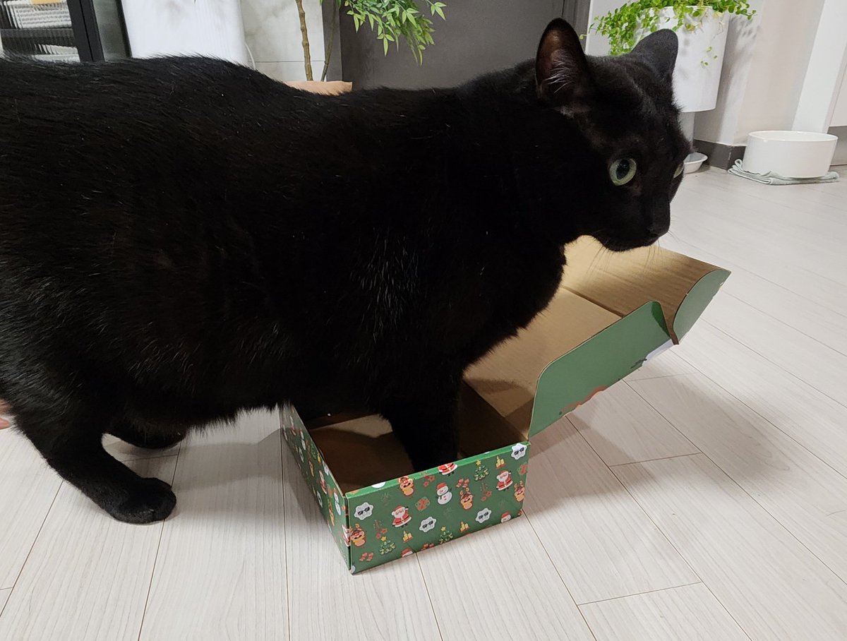 아 놔......
그 상자에 니 몸땡이 안 들어간다고;
집착하지 말라고;