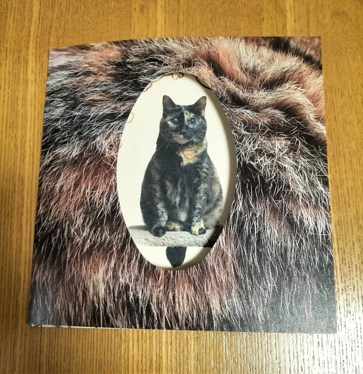 ✿nao18_michi様✿専用ページ 秋田フキ ◤苗◢ ✿nao18_michi様✿専用