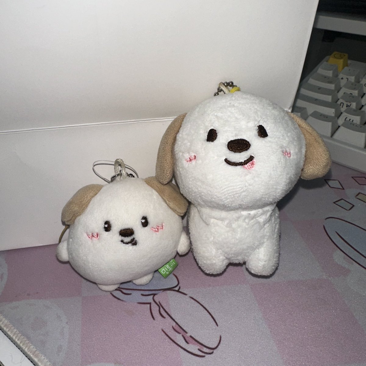 willralm's tweet photo. ส่งต่อ Riize 10 cm doll keyring / mini doll keyring
มองรยงงี่ แอนต้น 2 ตัว /  1,200฿ รวมส่ง
*แท็กหาย อาบน้ำให้น้องเเล้วค่ะ 
เพิ่มเติม Dm ✋🏻💞 
#ตลาดนัดน้องข้าว #ตลาดนัดRIIZE https://t.co/KD7plGUbjo