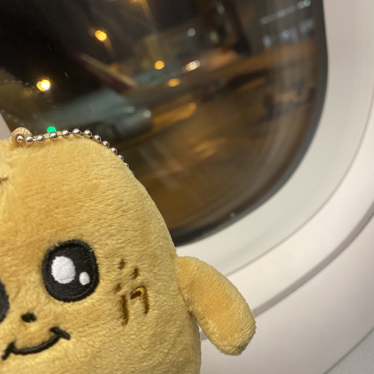 tmmngyu's tweet photo. あったかくなったらまた来るね、って統括が言った時、心が過呼吸起きてザワついた。サランへ。
グッバイ、𝐅𝐔𝐊𝐔𝐎𝐊𝐀🩶 https://t.co/BQ9nlSPVib