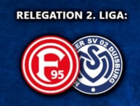 timo 🦓 tweet media