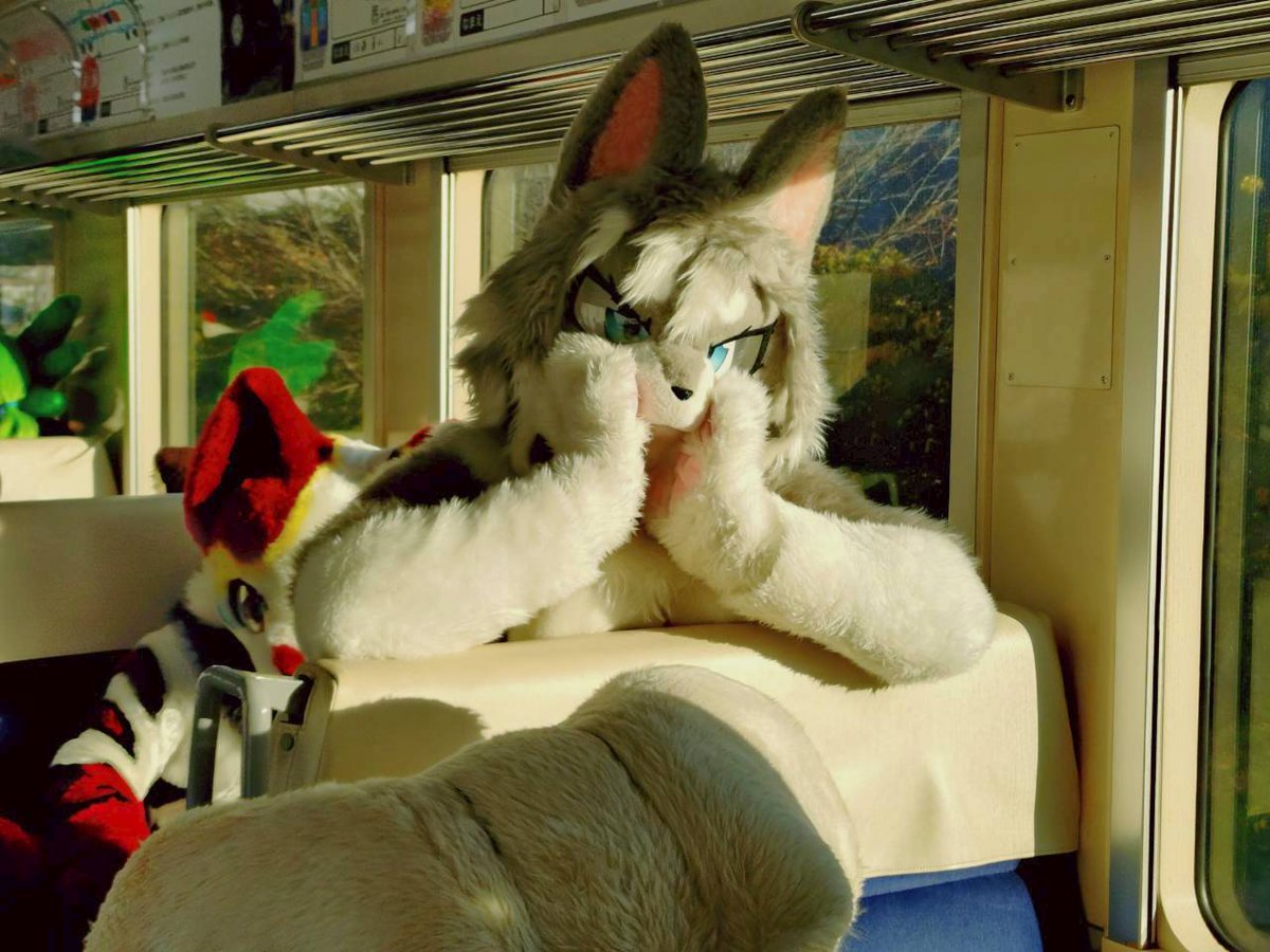 #ケモノをみて今週もがんばりマンデー 
ねーねーなにしてんの？