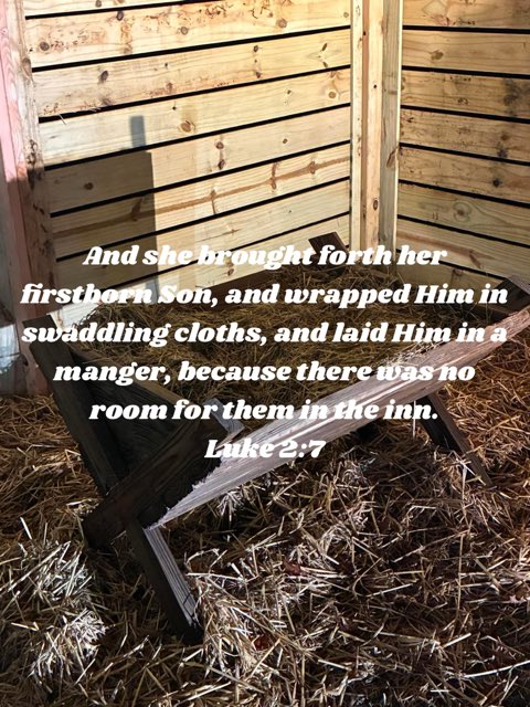 Jsano97's tweet image. 